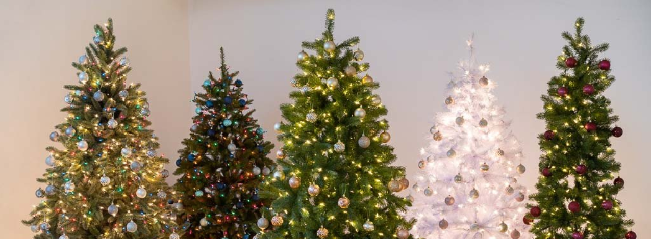 The 7 Best Things to do in Oxford, December 2019 The 7 Best Things to do in Oxford, December 2019
